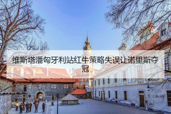 wei-si-ta-pan-xiong-ya-li-zhan-hong-niu-ce-lve-shi-wu-rang-nuo-li-si-duo-guan-3-460.jpg