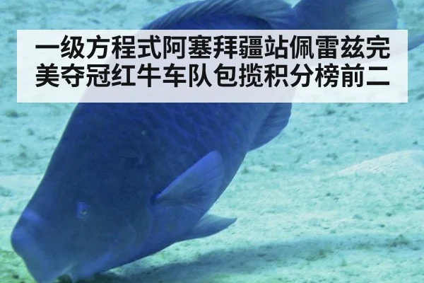 一级方程式阿塞拜疆站佩雷兹完美夺冠红牛车队包揽积分榜前二