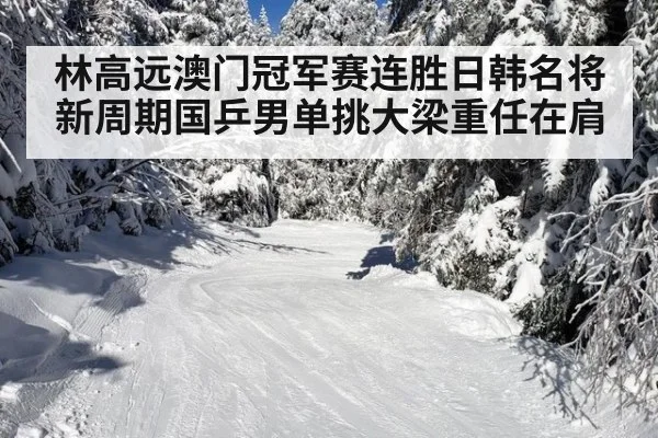 林高远澳门冠军赛连胜日韩名将 新周期国乒男单挑大梁重任在肩